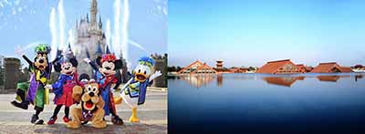 1573796403791618.jpg 1.JPG